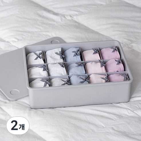 이즈리빙 칸칸칸 속옷 정리함 15칸, 그레이(그레이뚜껑), 2개