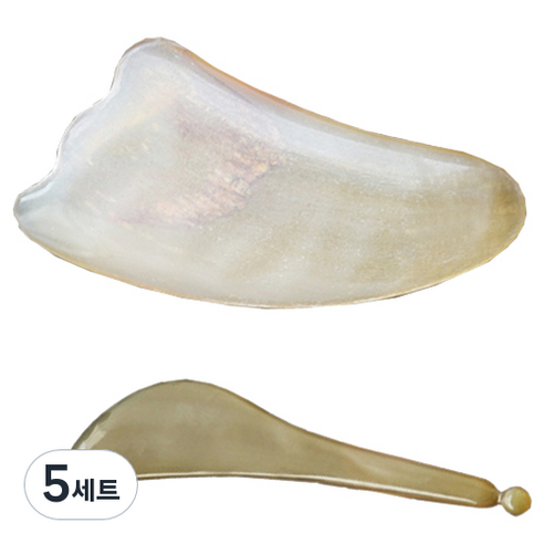 헬스플러스 괄사 패키지 BJ-05B + BJ-860, 5세트, 혼합 색상