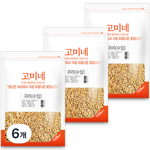 고미네 캐나다 귀리, 1kg, 6개