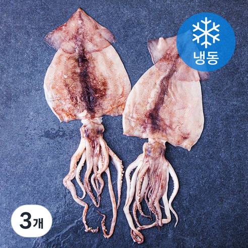빅마마 손질 오징어 (냉동), 400g(2미), 3개