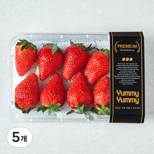 여미야미 킹스베리 딸기, 5개, 400g(대과)