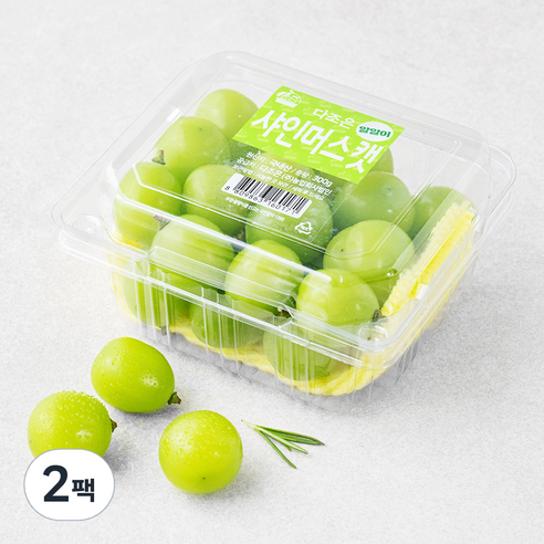 다조은 알알이 샤인머스켓, 300g, 2팩