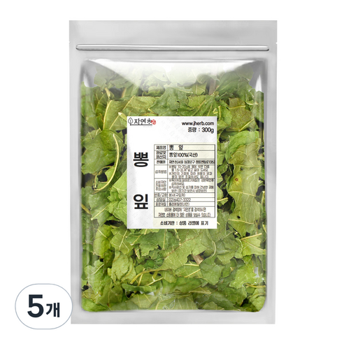 자연초 뽕잎, 300g, 5개