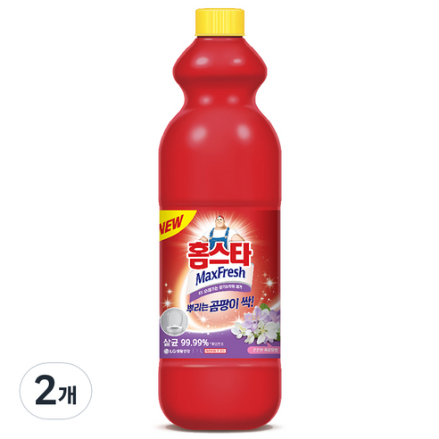 홈스타 맥스프레쉬 뿌리는 곰팡이 싹 세정제 리필, 1L, 2개