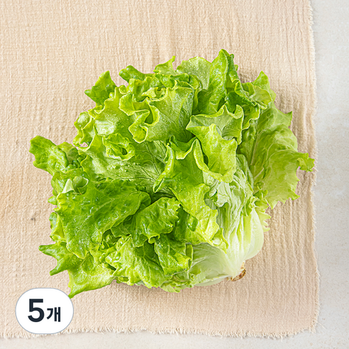 국내산 카이피라, 200g, 5개