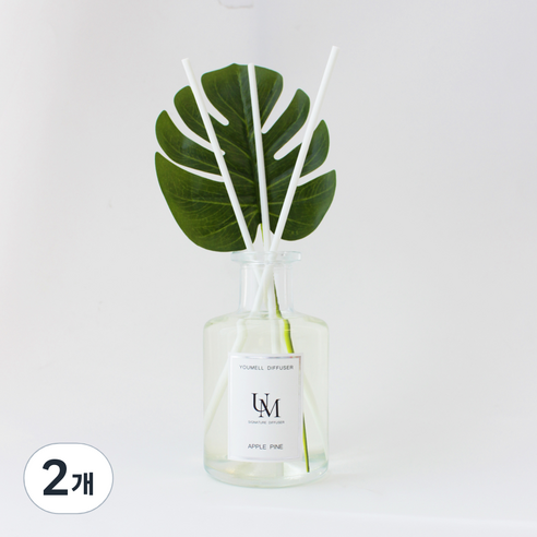 유멜 시그니처 디퓨저 200ml, 애플파인, 2개