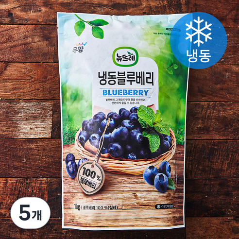 뉴뜨레 칠레산 블루베리 (냉동), 1kg, 5개