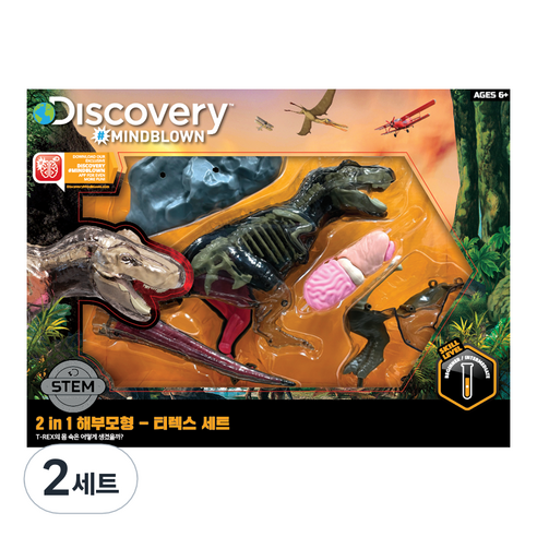 디스커버리마인드블론 2 in 1 해부모형 티렉스 세트 1423000971, 2세트
