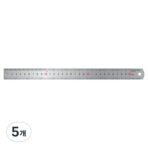 모닝글로리 스테인레스 자 30cm, 혼합색상, 5개