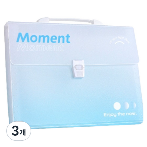 모노테리 도큐먼트 13칸 서류 보관 아코디언파일, 블루, 3개