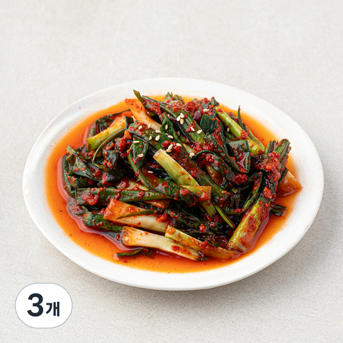 더반찬 쪽파김치, 250g, 3개