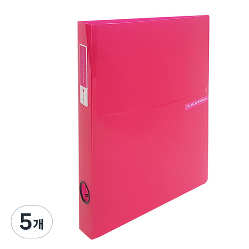 에코청운 칼라칩 투명 3공 D링 바인더 3cm A4, 분홍, 5개