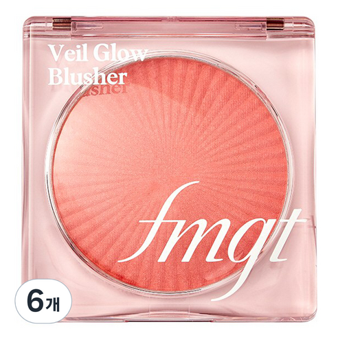 더페이스샵 fmgt 베일 글로우 블러셔, 01 무드 포 핑크, 6개