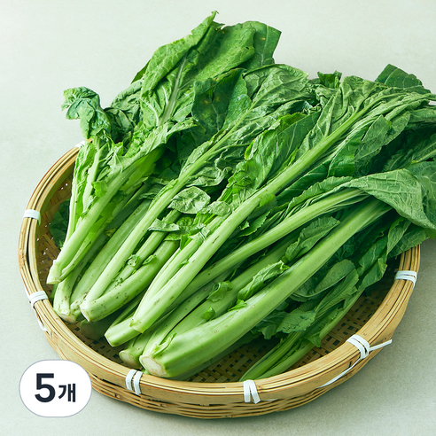 국내산 돌산갓, 1kg, 5개