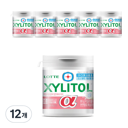 롯데자일리톨 입안을 촉촉하게 알파 용기, 86g, 12개