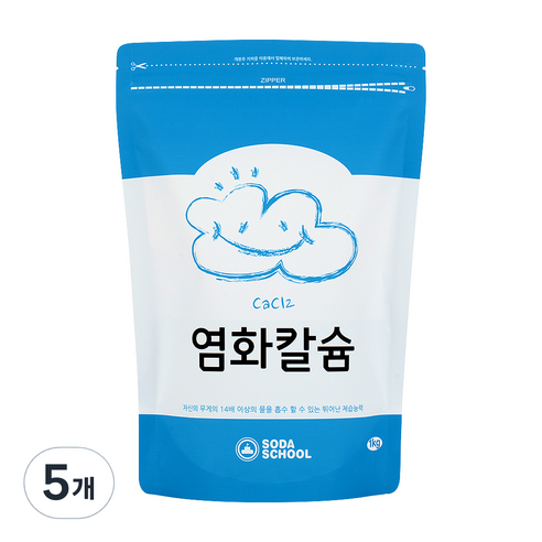 소다스쿨 염화칼슘 제습제 리필 1kg, 5개 세트