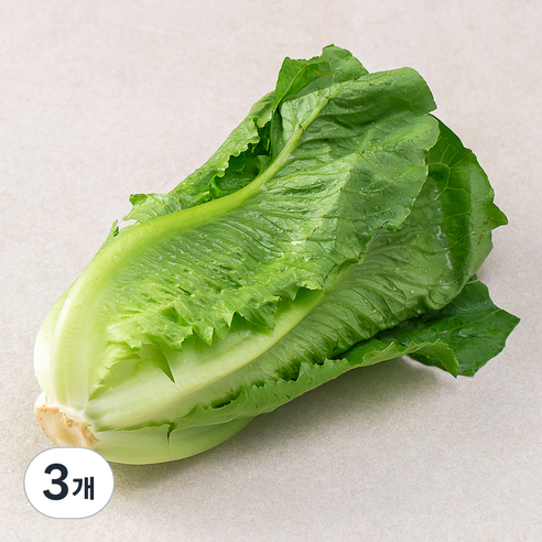 국내산 로메인 lettuce, 250g, 3팩 
채소