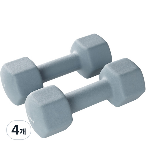 앳플리 LW 미용 아령, 5kg, 4개