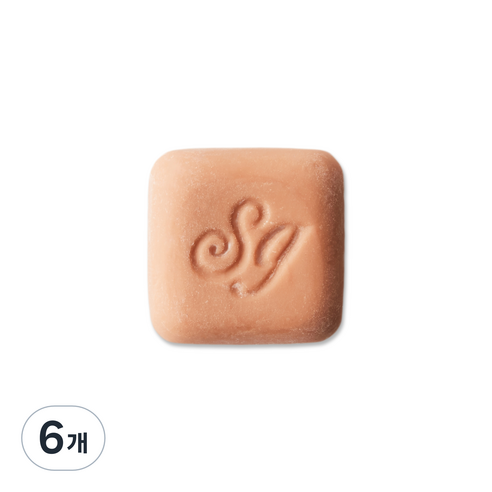 생귄 테라코타 차량용 방향제 블랙체리 리필, 1개입, 6개