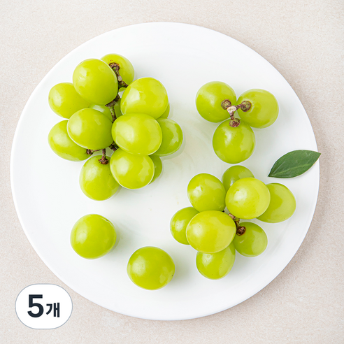 다조은 알알이 샤인머스켓, 500g, 5개