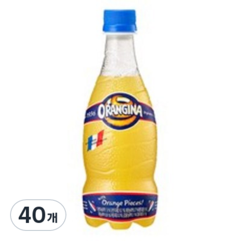 롯데칠성음료 오랑지나, 420ml, 40개