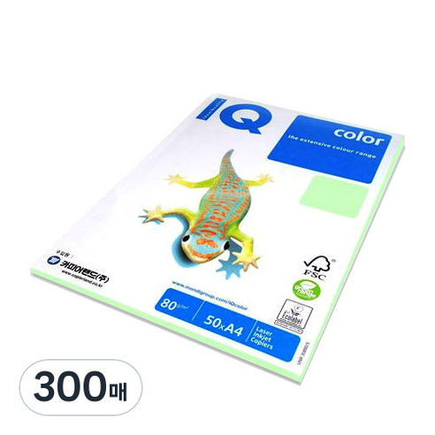 몬디 IQ COLOR 색상지 GN27 그린 80g, A4, 300매