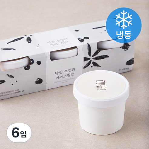 담꽃 수정과 아이스밀크 (냉동), 100ml, 3개입, 2개