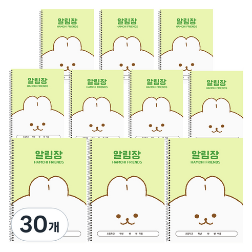 햄치 초등 미니 알림장 B5, 그린, 30개