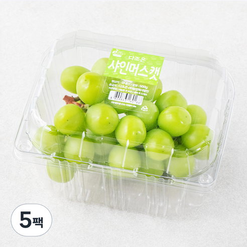다조은 비파괴당도선별 샤인머스켓, 500g, 5팩