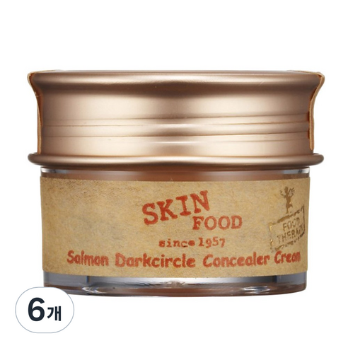 스킨푸드 연어 다크서클 컨실러 10g, 2호 살몬베이지, 6개