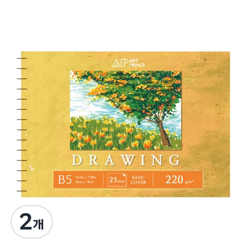 두성 아트프린스 드로잉 스프링 스케치북 220g D05, B5, 25매, 2개