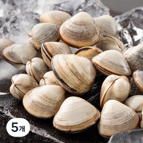 바다림 서해안 산지직송 생물 갯벌 동죽조개 (냉장), 500g, 5개