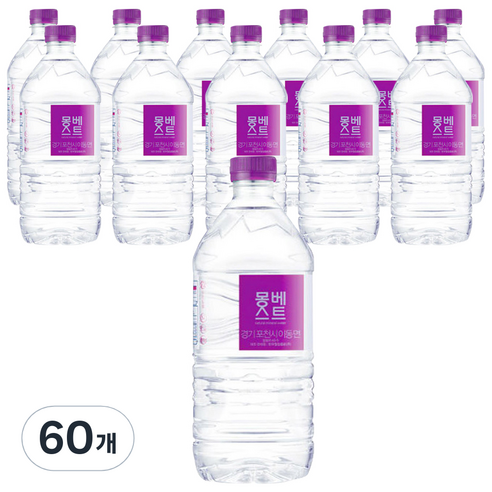 몽베스트 생수, 60개, 1L
