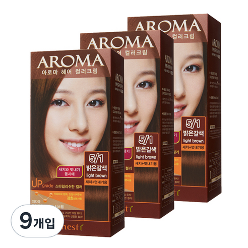 에네스티 아로마 염모제 멋내기용, 5/1 밝은갈색, 9개입