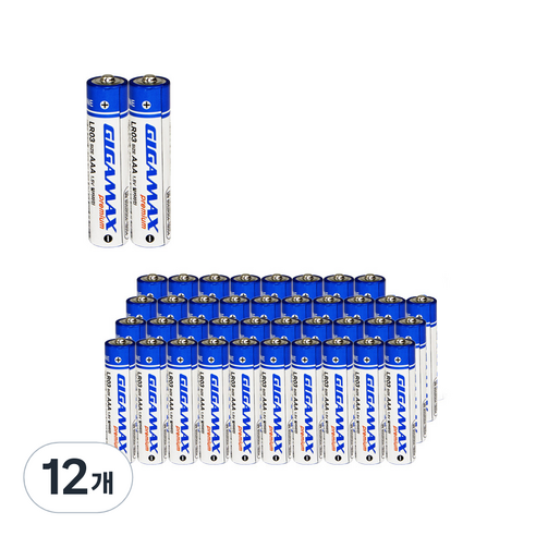 로케트 기가맥스 알카라인 AAA건전지, 10개입, 12개