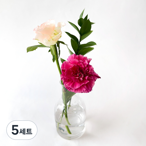 포켓플라워 생화 테이블 플라워 세트, 핑크, 5세트