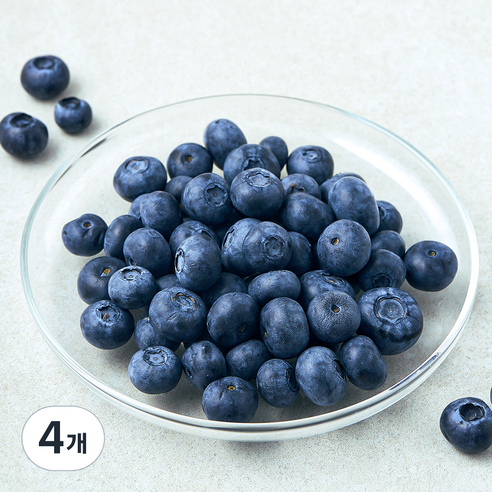 캐나다산 PSK 블루베리, 4개, 125g