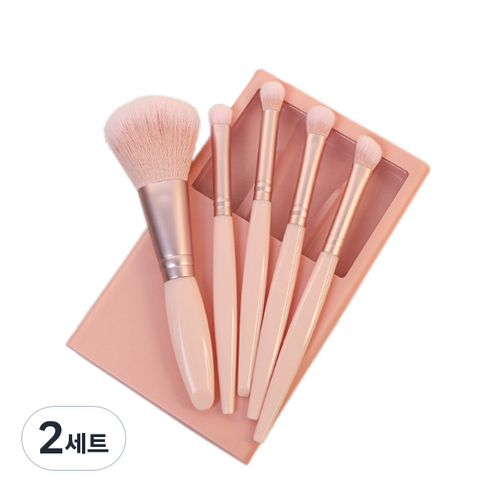디에스 휴대용 멀티 브러쉬 5종 세트, 코랄, 2세트