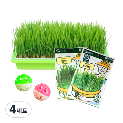채가원 퍼피가드 캣글라스 2종, 보리, 밀, 4세트