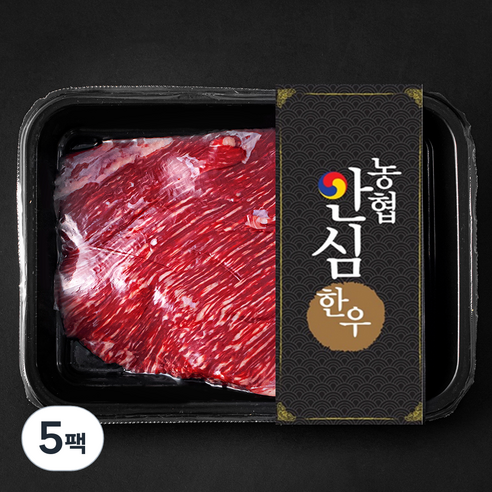 농협안심한우 양지 덩어리 1+등급 국거리 수육 장조림용 (냉장), 300g, 5팩