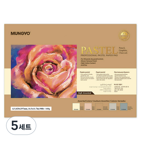 문교 파스텔 전용지 160g 소프트색 5종 x 4p 세트, A3, 5세트, 20매