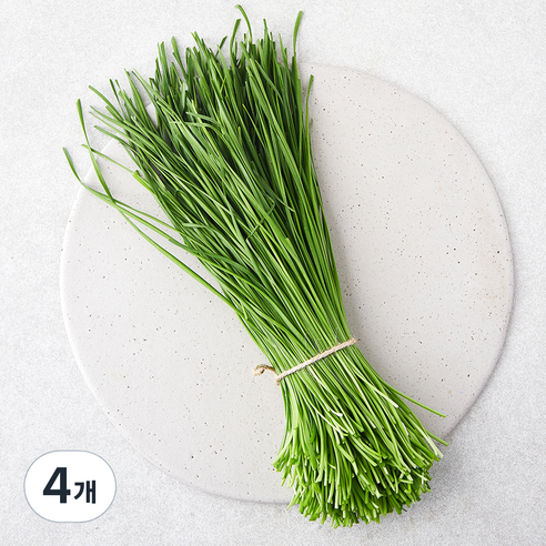 친환경 영양부추, 100g, 4개