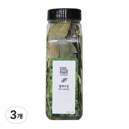 딜리셔스마켓 월계수 잎, 40g, 3개
