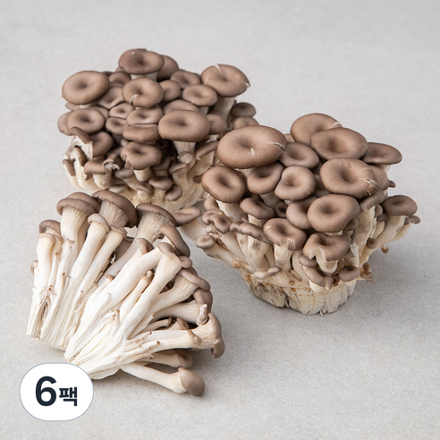 국내산 참맛 느타리버섯, 800g, 6팩
