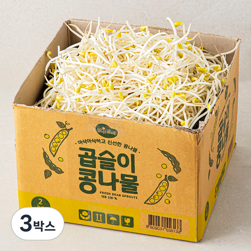맑은물에 곱슬이 콩나물, 3박스, 2kg