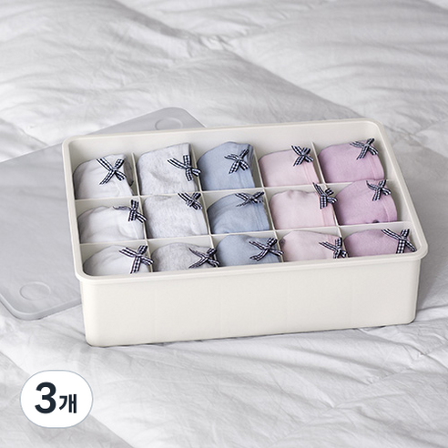이즈리빙 뚜껑있는 플라스틱 속옷정리함 15칸, 아이보리 + 반투명, 3개