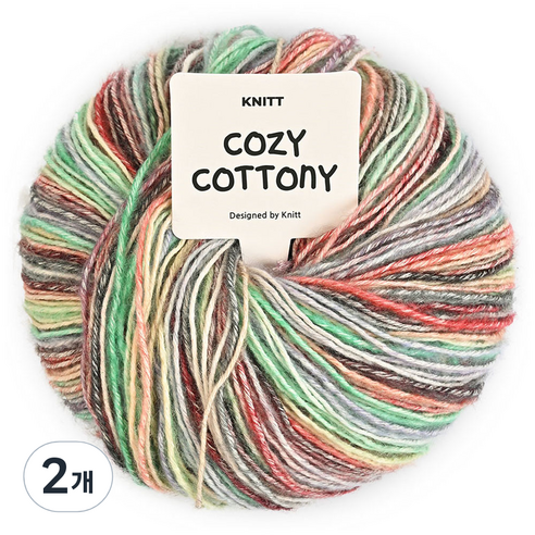 니뜨 코지 코트니 뜨개실 50g, 15환타지아, 2개