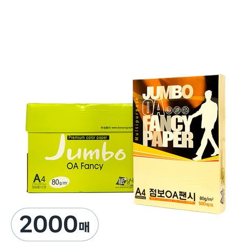 두성종이 OA팬시페이퍼점보 80g 500매입, A4, 2000매