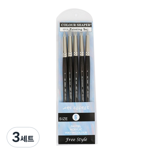 아트시크릿 300 S 실리콘 고무 브러쉬 5종 세트, 6호, 3세트