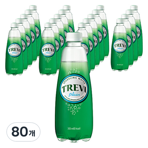 트레비 탄산수 플레인, 300ml, 80개